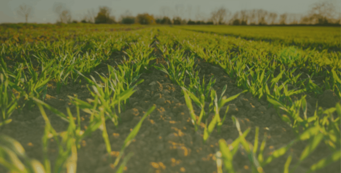 Vision Mission Background